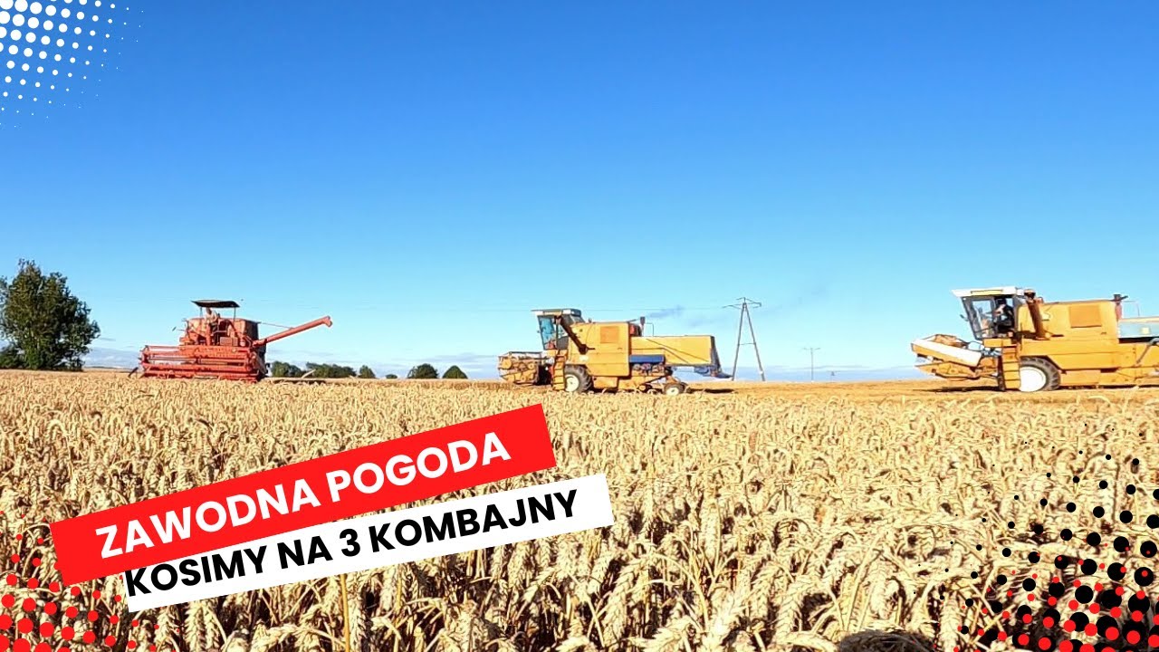 3 Bizony na polu. Ukosiliśmy ponad 100 ton w 6 godzin. New Holland się zakopał