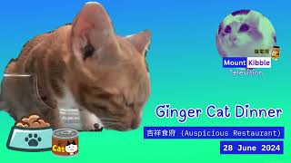 Ginger Cat Dinner