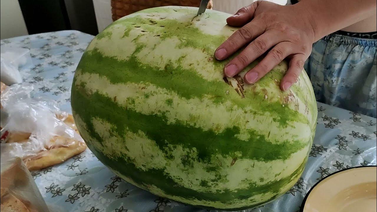 РЕЖЕМ ГИГАНТСКИЙ АРБУЗ! - YouTube
