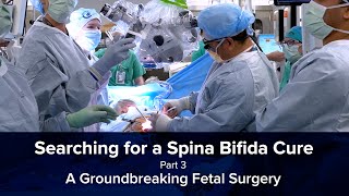 Searching for a Spina Bifida Cure Part 3 - A Groundbreaking Fetal Surgery