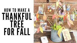 How to Make a Thankful Tree for Fall
