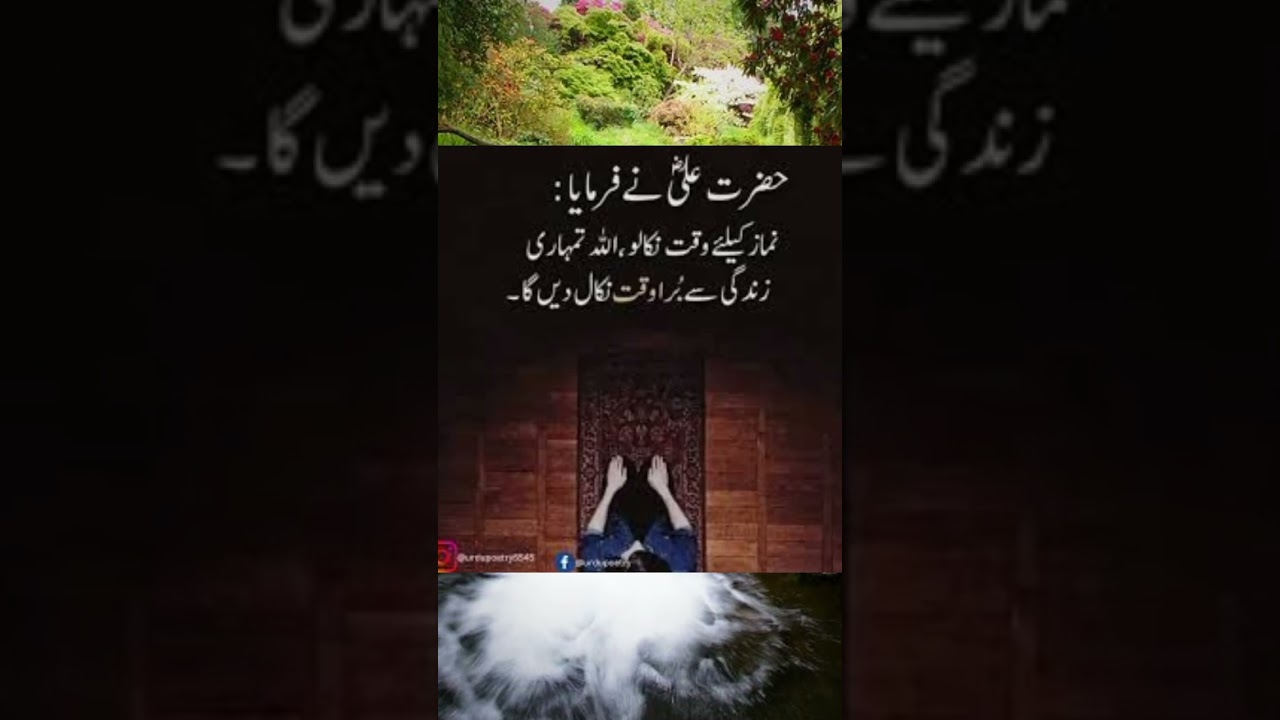 Islamic Quotes | Urdu Quotes | Shorts Video | Viral | Trending Shorts | Viral Shorts | Faizi Speech