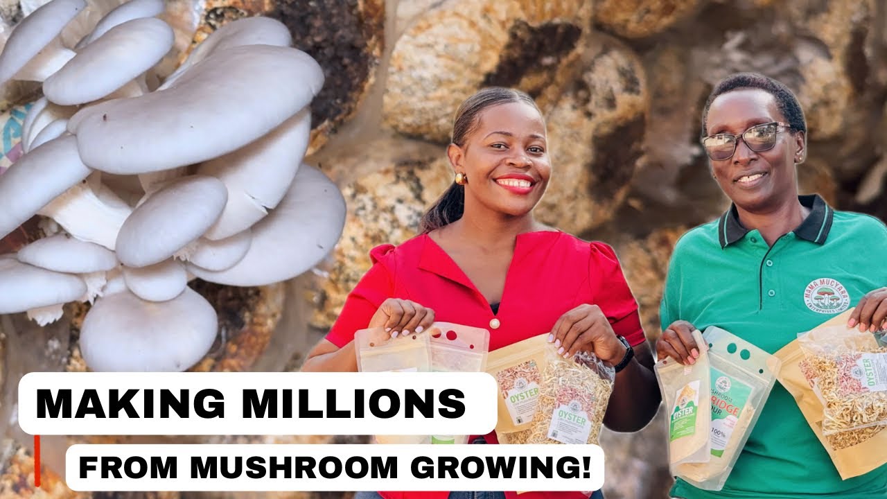 Как эта угандийская женщина построила успешный грибной бизнес в своем гараже | Теперь зарабатывае...