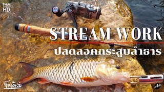 Stream Work ปลดล็อคกระสูบลำธาร