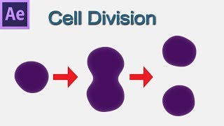 Make simple video about simulation of cell division with After Effects - 51
