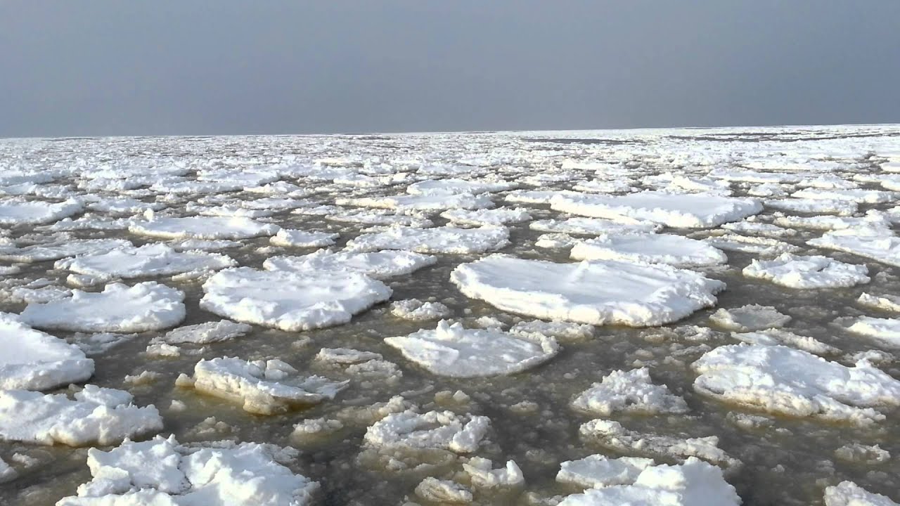 An Endless Expanse of Pancake Ice.