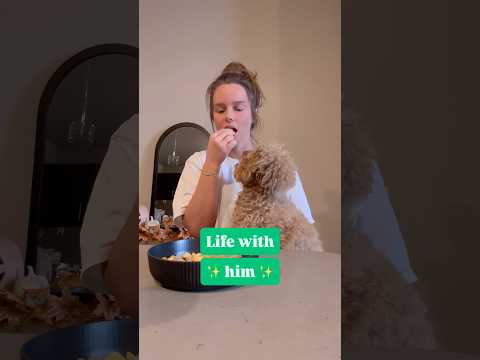 Before pets: all the personal space / With pets: no personal space