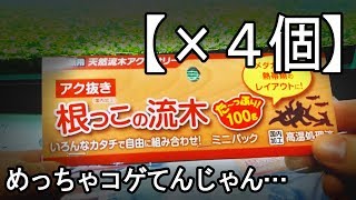 【根っこの流木ミニパック×４個】良い流木が入ってるかどうか【開封】