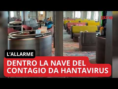 Video Dentro la nave del contagio da Hantavirus: ecco dove sono bloccati i passeggeri