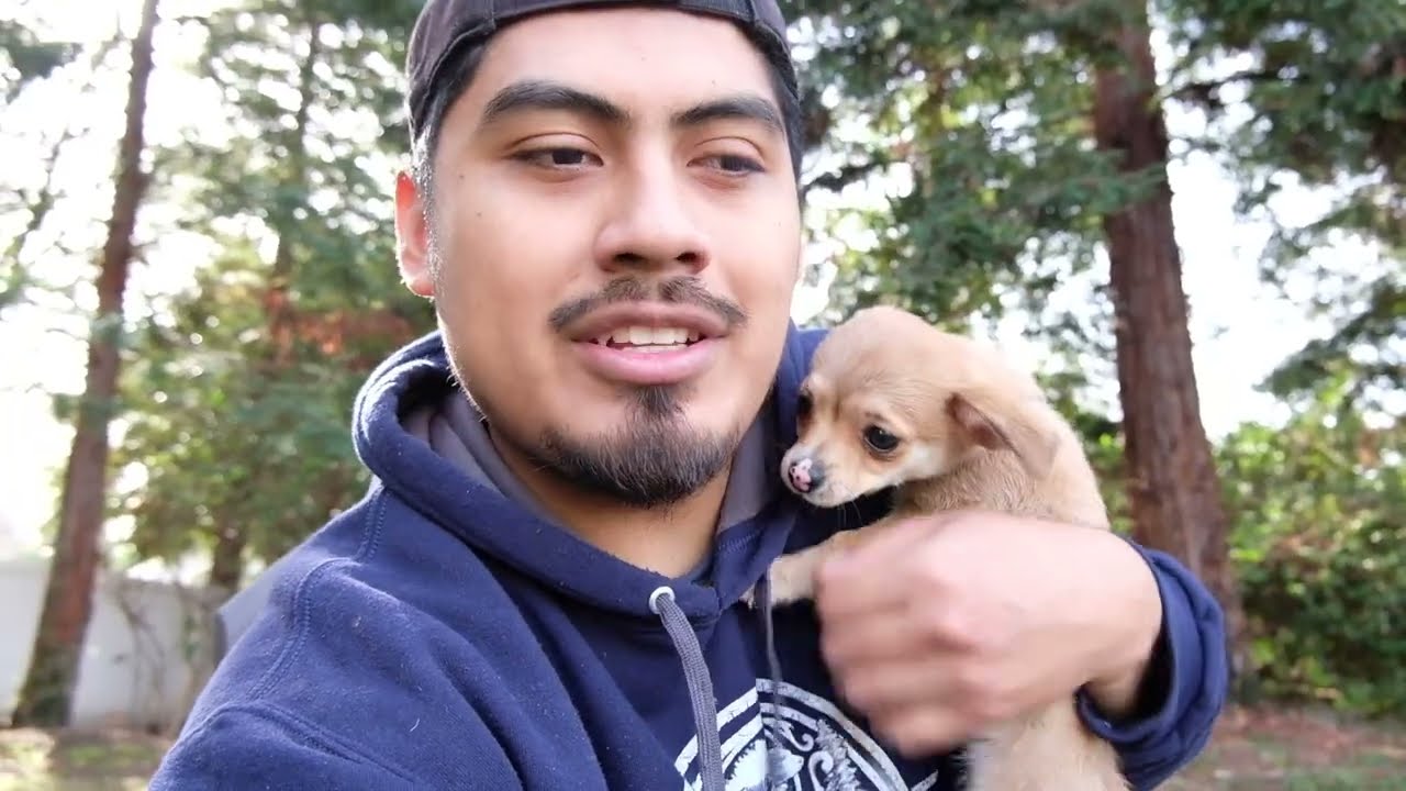 Grilling, Smoking the Competition