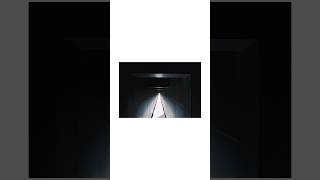 El combo perfecto sí existe: Canon AE-1 + Kodak Portra 800. Me llevé este setup a las Cuatro Torres