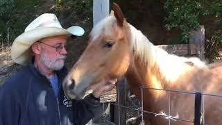 Diggin' on the Farm: Devils Gulch in Nicasio