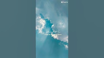 قرآن كريم راحة نفسية ♥️ ♥️ ✨ ✨ #قرآن #تلاوة_خاشعة #قران_كريم #quran