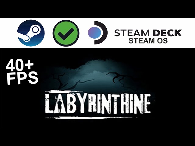 Labyrinthine no Steam