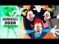 Animaniacs (2020): La Importancia de la Sátira (y de hacerte enojar) | Crítica | LA ZONA CERO