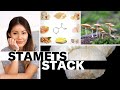 The stamets stack and a better psilocybin microdosing protocol nootropics
