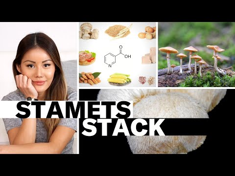 The Stamets Stack and a Better Psilocybin Microdosing Protocol? #Nootropics
