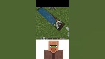 Minecraft Logic edit #minecraft #minecrafthumor #mincraftlogic #funny #logic #minecraftmemes