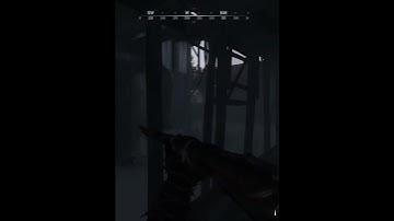 CHEATS? Hunt Showdown 1896 #huntshowdown #showdown #shorts #huntshowdown1896 #huntshowdownofficial