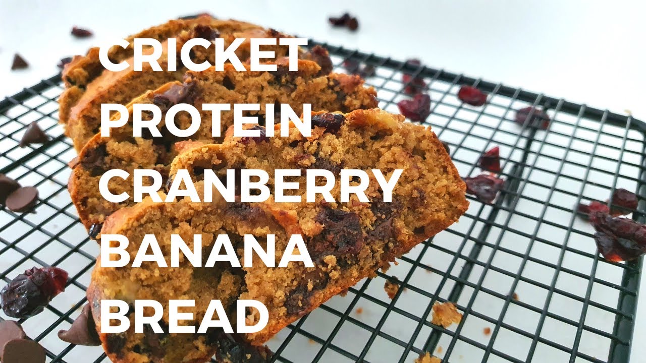 Cricket Protein Cranberry Banana Bread | Cricket Protein Powder Idea Recipe