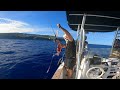 Bonite / Thon au Jig et Jolie Poisson de fond à l’appât - Pêche Réunion