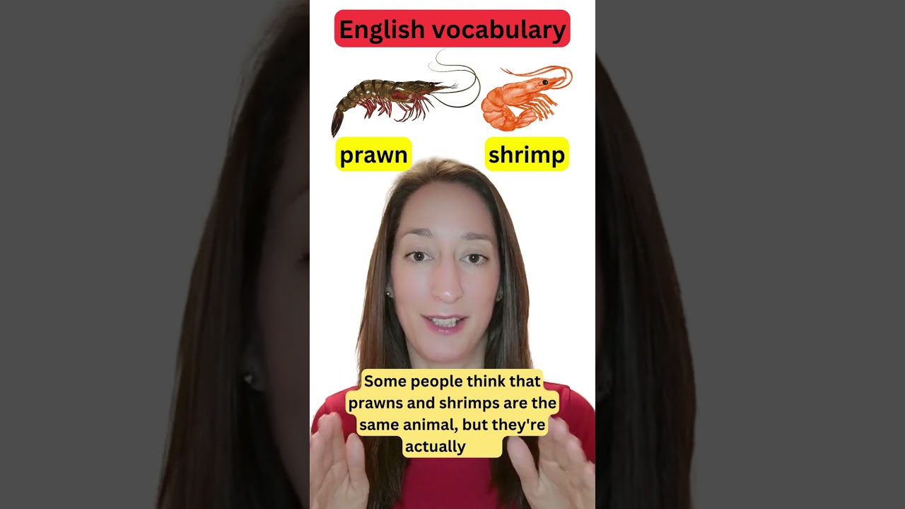 How to talk about SEAFOOD in English 🦑🦐🦞 #shorts #english