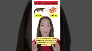 كيف تتحدث عن المأكولات البحرية باللغة الإنجليزية 🦑🦐🦞 #shorts #english