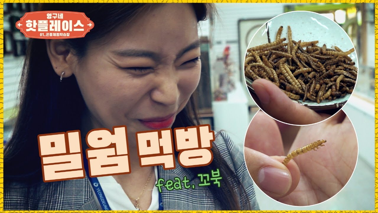 [강추] ⚡역대급 이색 데이트 장소⚡ '천상의 맛' 밀웜, 미미(美味) | 영구네 핫플레이스 #.01_곤충체험학습장