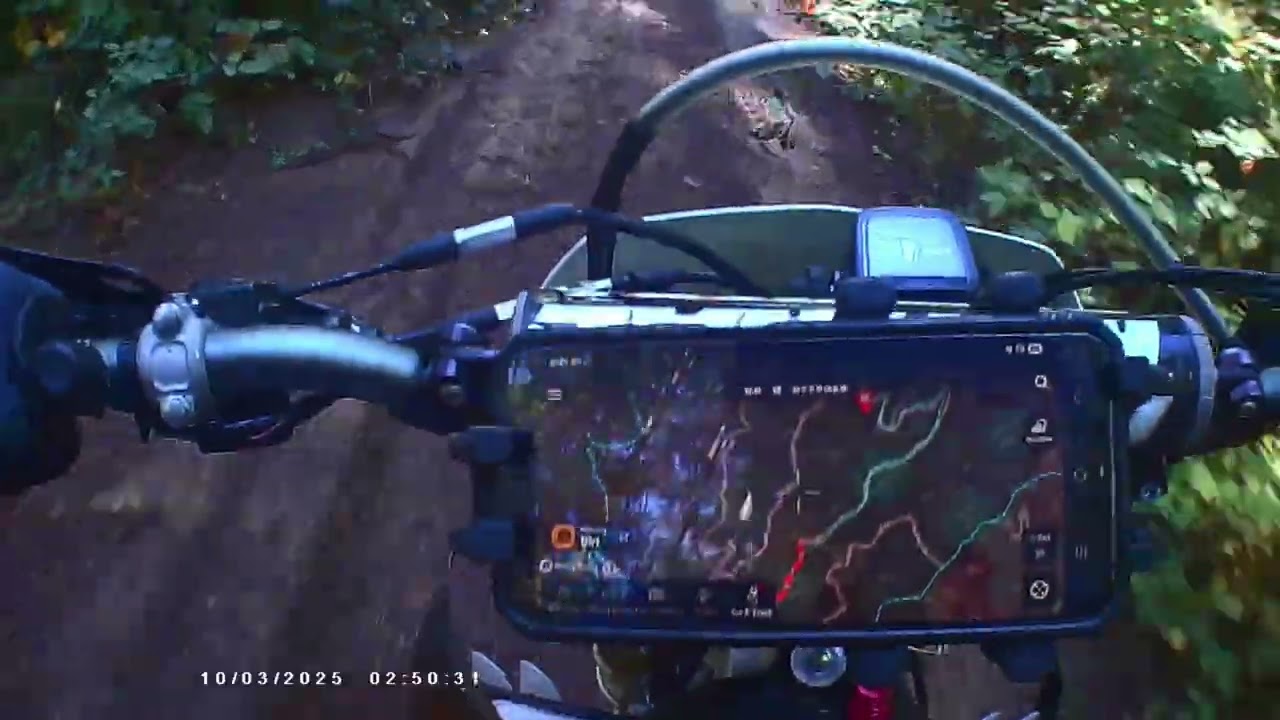 El Dorado Forest trail ride after 1st rain