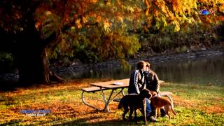 Miniatura del video "♡ ERNESTO CORTAZAR - Foolish Heart"