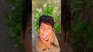 # मशरूम 😂😂#comedy #videos #sorts #videos #funny #sanni#dhashu99#