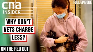 The Life Sacrifices Of Vets What Makes It Worthwhile On The Red Dot - At The Vets