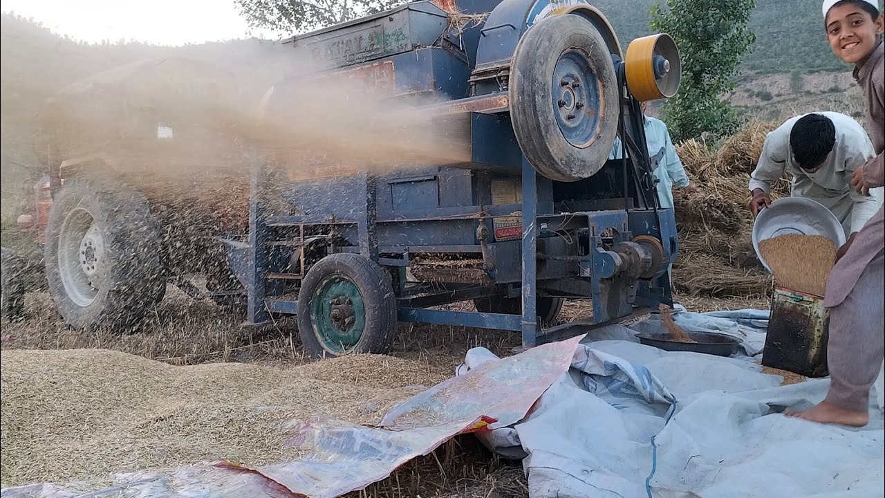 How does wheat harvesting tractor thresher machine work in village