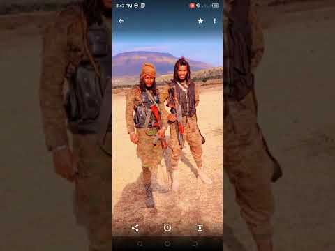 Jaal Wabii Sabaa Fi Jaal Gurmuu Dachas Wajjiin Turtii Garii Qabadhaa Oro Koo 