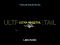 Pelican Skeleton 360°: 4K 3D Anatomy Asset #Shorts