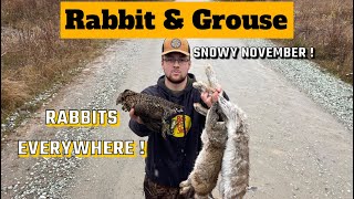 RABBIT HUNTING w/ 12 GAUGE & REMOTE CABIN TRIP ! ( Grouse & Rabbit Small Game Hunting ) , NL screenshot 2