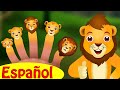 Familia Dedo León (Lion Finger Family Song) | Canciones infantiles en Español | ChuChu TV