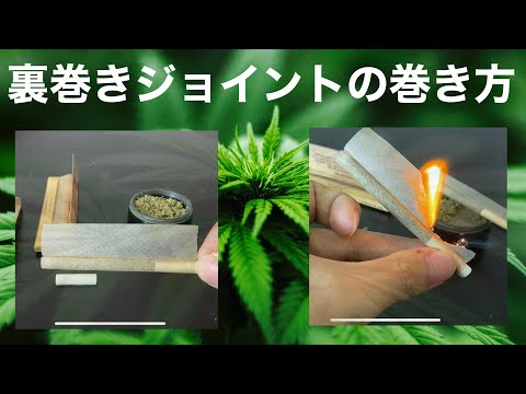 [Easy] How to Roll a Backroll Joint!