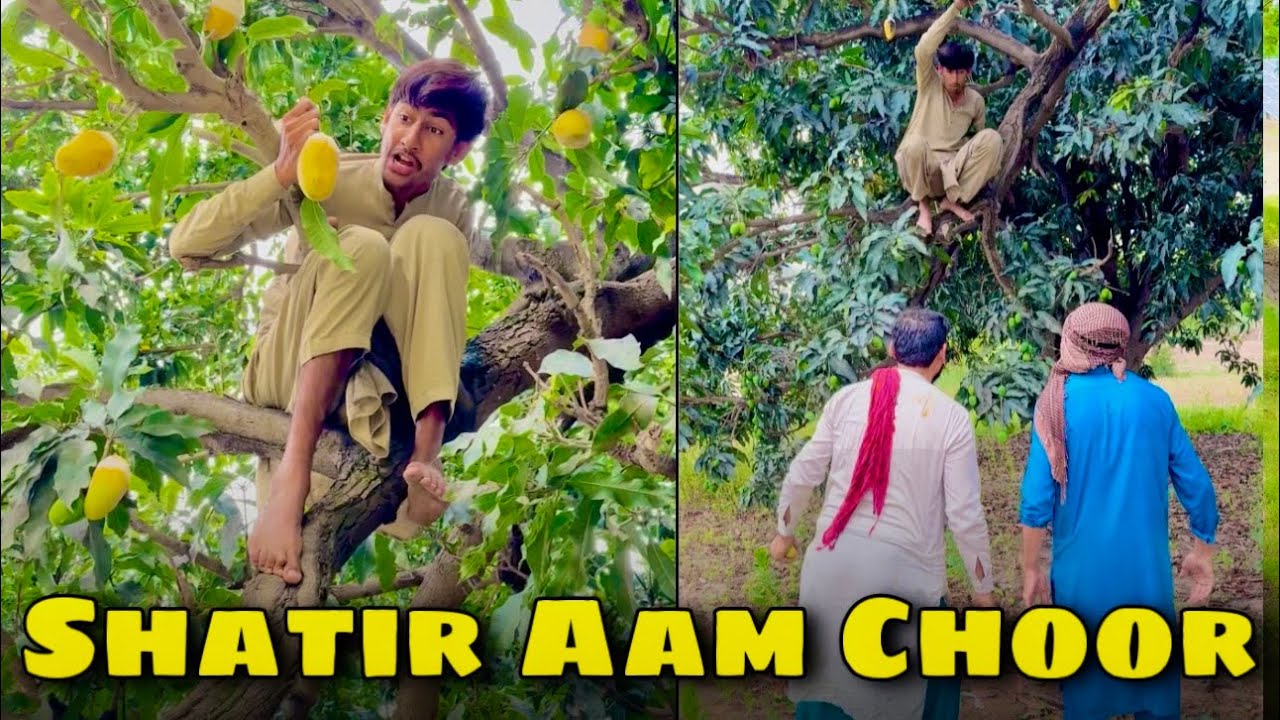 Shatir Aam🍋 Choor