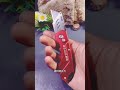 Folding Utility KnifePortable Folding Utility KnifeHandy Folding Utility Knife