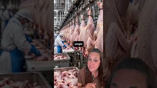 USDA Beef Recall + Costco Rotisserie Chicken Lawsuit Explained #sidehustle #classaction #beefrecall
