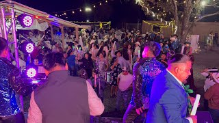 Al son de los principes // Grupo La Realeza de Oaxaca  [En vivo desde Santa Rosa Ca.]