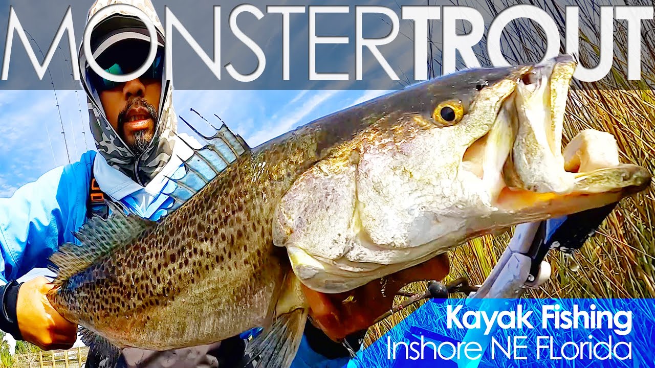 Catch HUGE TROUT in Winter! Secret Tactics Revealed for Monster Sea Trout