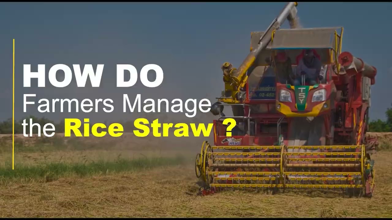 Introduction video: Sustainable Rice Straw Management Micromodule