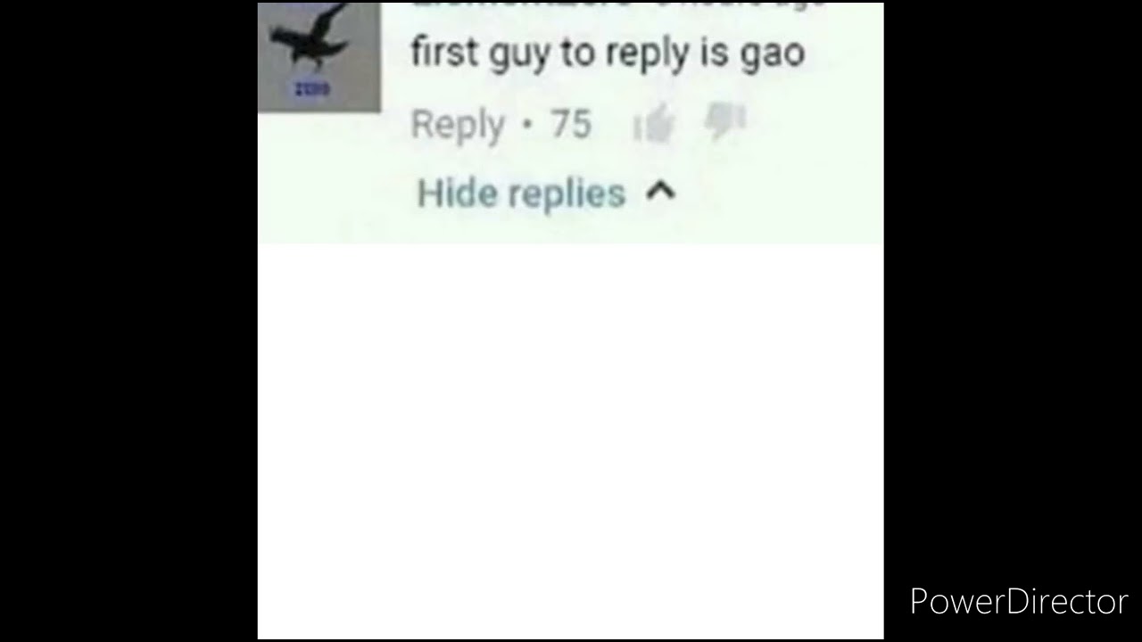 first guy to reply is GAO YouTube