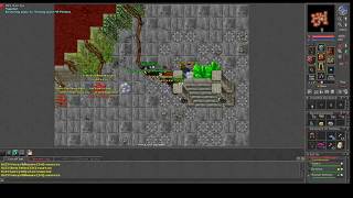 Tibia Shivera - PK Banuta /Olivia palito - Drufox e Sauro