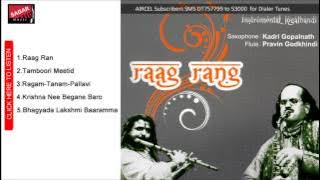 Raag Rang.       Kadri Gopalnath &Pravin Godkhindi.
