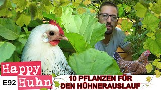 E92 Den Hühnerauslauf bepflanzen, 10 Pflanzentipps HAPPY HUHN, Hühnergehege grün halten, Robert Höck