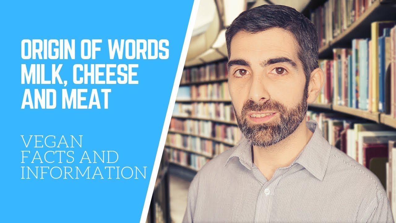 Etymology of milk, cheese and meat English words. A controversial vegan