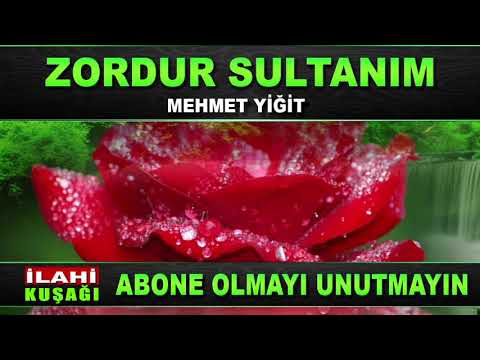 Zordur Sultanım İlahisi ve Aşık Oldum İlahisi - Mehmet Yiğit